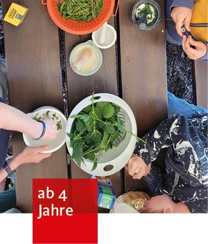 in mehreren Töpfen und Tiegel werden Brennesselblätter verarbeitet