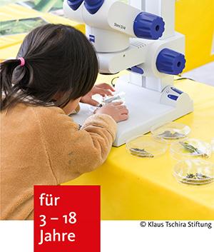 ein Kind sitzt an einem Tisch und arbeitet an einem Mikroskop. Mehrere gefüllte Schalen liegen auf dem Tisch