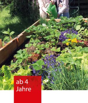 ein bepflanztes Hochbeet mit Erdbeeren und Blumen wird gegossen