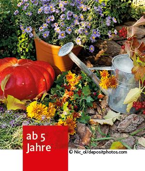 ein Kürbis, eine Gießkanne, ein Blumentopf gefüllt mit lila Blumen stehen im Garten. Herbstlaub und gelbe Herbstblumen liegen drumrum