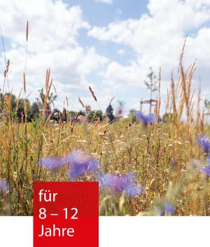Ein Feld mit Weizen. Im Vordergrund sind verschwommen Kornblumen zu sehen und im Hintergrund ein leicht bewölkter Himmel.