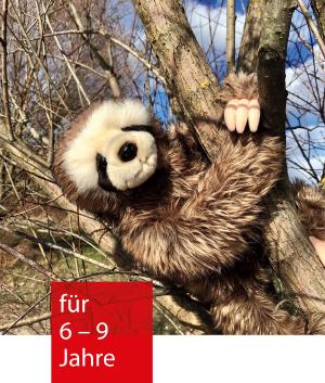 ein Faultier hängt an einem dicken Ast und blickt einen an