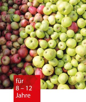 Mehrere rote und grüne Äpfel liegen nebeneinander