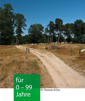 ein breiter Weg führt durch eine Dünenlandschaft in Mannheim und Kiefern