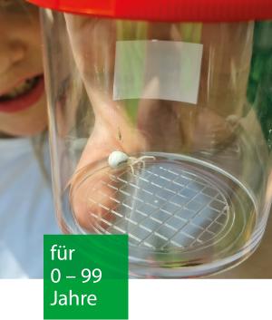 In einem Becherlupenglas ist eine weiße Spinne. Im Hintergrund sieht man das Gesicht eines Kindes, dass das Becherlupenglas hält.