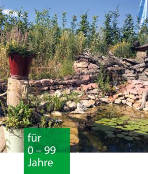 ein Garten mit Mauer und Teich