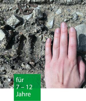 eine Hand liegt auf dem Waldboden neben einer Tierspur