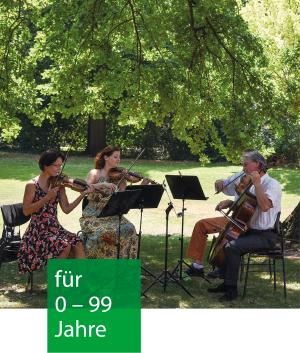 Unter einem großen Baum im Wald musizieren 4 Menschen mit Streichinstrumenten