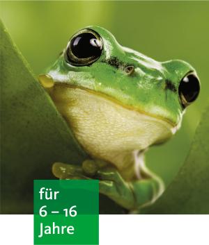 Ein Laubfrosch schaut hinter einem Blatt hervor. Man sieht ihn in groß und seine schwarzen Augen.
