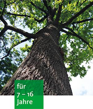ein großer langer Baum mit dickem Stamm und frischem Laub