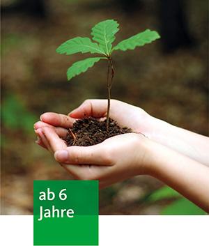 zwei Hände halten einen Eichensetzling