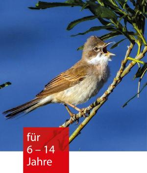 Ein Vogel sitzt auf einem Zweig und singt