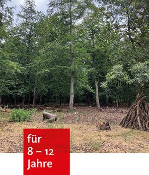 in einem Waldstück mit Lichtung steht ein Tipi aus Holzstämmen