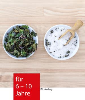 Auf einem hellen holzigen Untergrund stehen zwei kleine Schalen. In der linken Schale sind Kräuter und in der rechten Schale befindet sich Salz mit Kräutern gemischt.